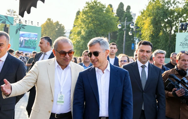 Bakıda Zeytun Festivalına böyük maraq - FOTOLAR
