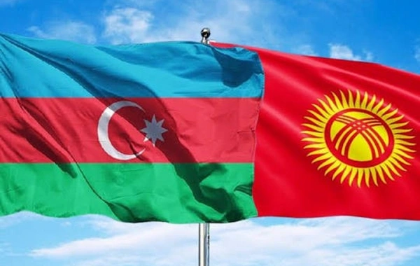 Azərbaycanla Qırğızıstan arasında cinayətkarlıqla mübarizə üzrə əməkdaşlıq Sazişi təsdiqlənib