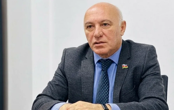 Arzuxan Əlizadə istefa verəcək? - Partiyadan açıqlama